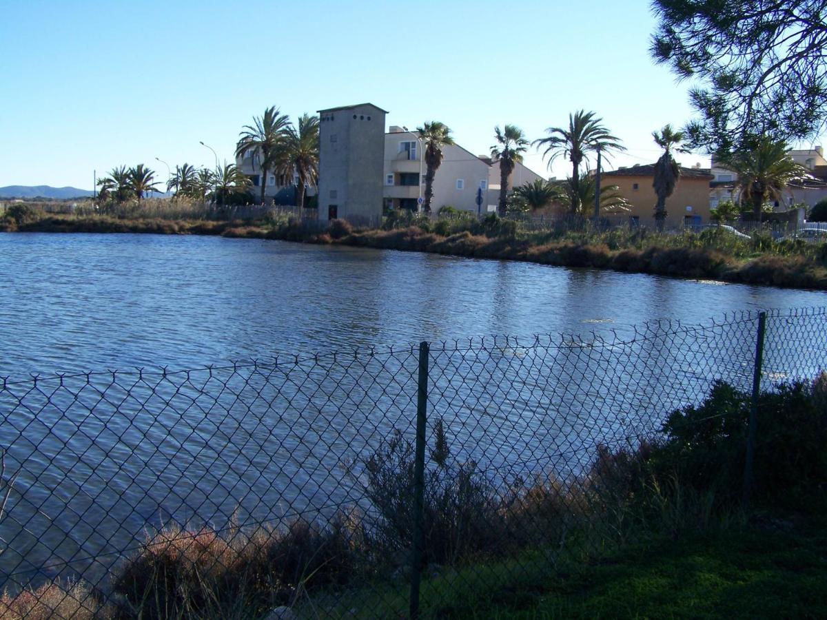 Terre Et Hyeres
